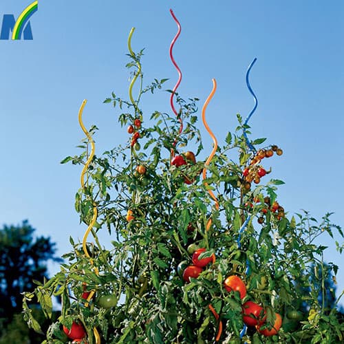 Tomato Growing Spiral Stake Plant Growing Support Wire